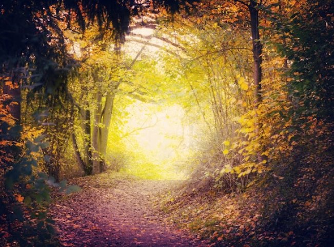 Magical Path In Autumn Park