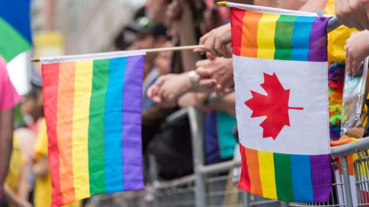 LGBTQ+ Canadians Looking for Mental Health Resources