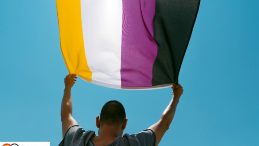 A History of the Non binary flag